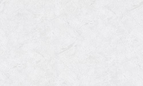 ZOOM2pPL72156-41