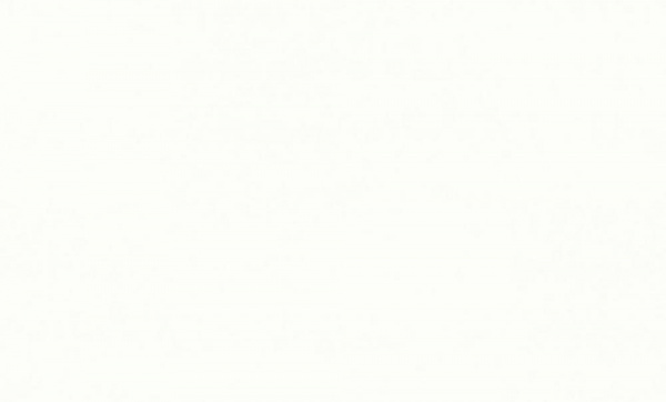 HomeColor Tropical Shades фон / HC71974-11 / 8 / 10,05*1,06 / Винил на Флизелине