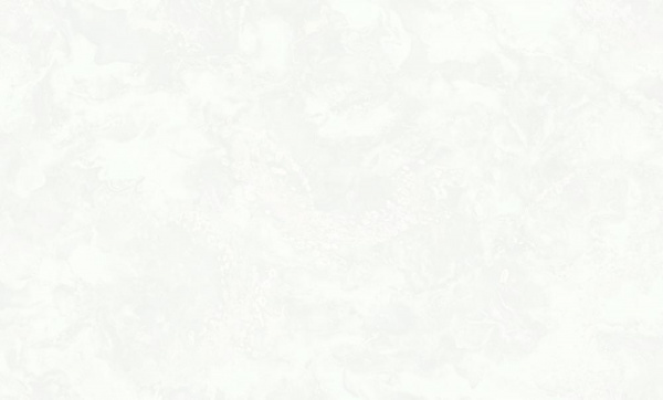 WallSecret Veneciano фон / 8810-20 / 6 / 10,05*1,06 / Винил на Флизелине