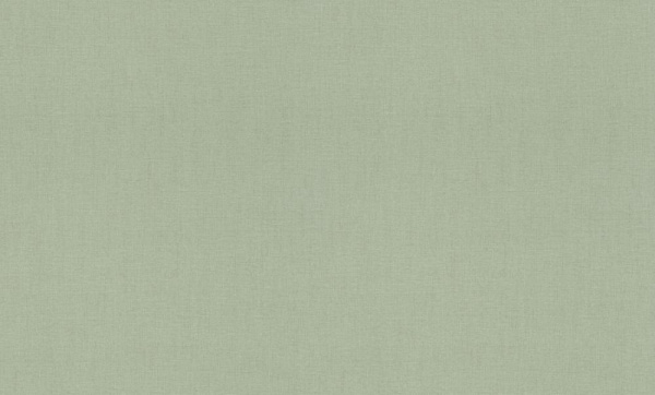 Rasch Florentine XL фон / 820065 / 6 / 10,05*1,06 / Винил на Флизелине