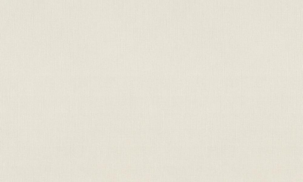 Rasch Florentine XL фон / 820003 / 6 / 10,05*1,06 / Винил на Флизелине