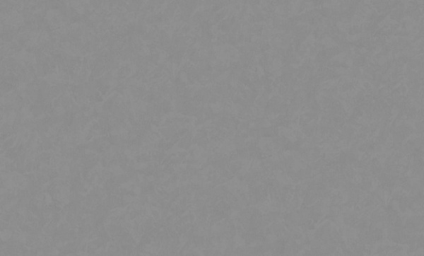 Индустрия Омега фон / 168555-16 / 6 / 10,05*1,06 / Винил на Флизелине
