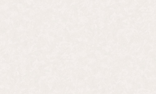 Индустрия Омега фон / 168555-13 / 6 / 10,05*1,06 / Винил на Флизелине