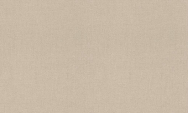 Rasch Florentine XL фон / 820041 / 6 / 10,05*1,06 / Винил на Флизелине